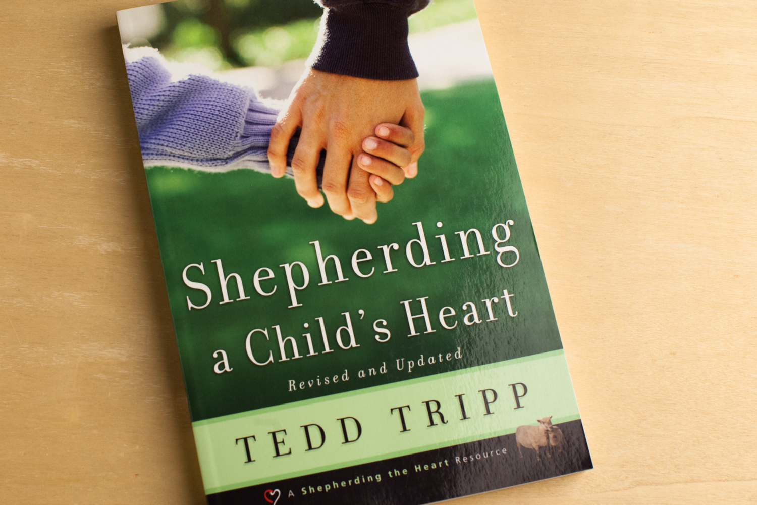 Shepherding a Child’s Heart 