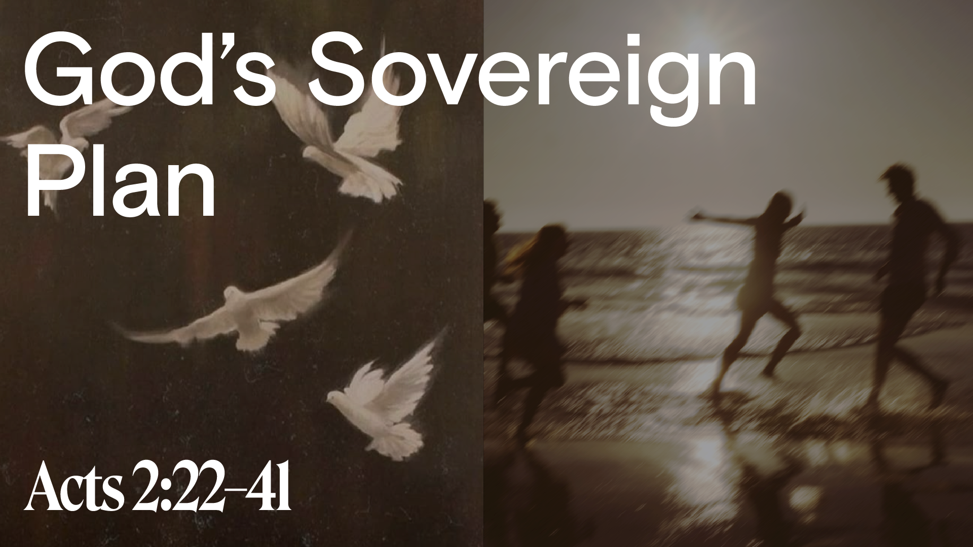 God’s Sovereign Plan 