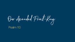 Our Ascended Priest-King (Ascension Sunday 2026)
